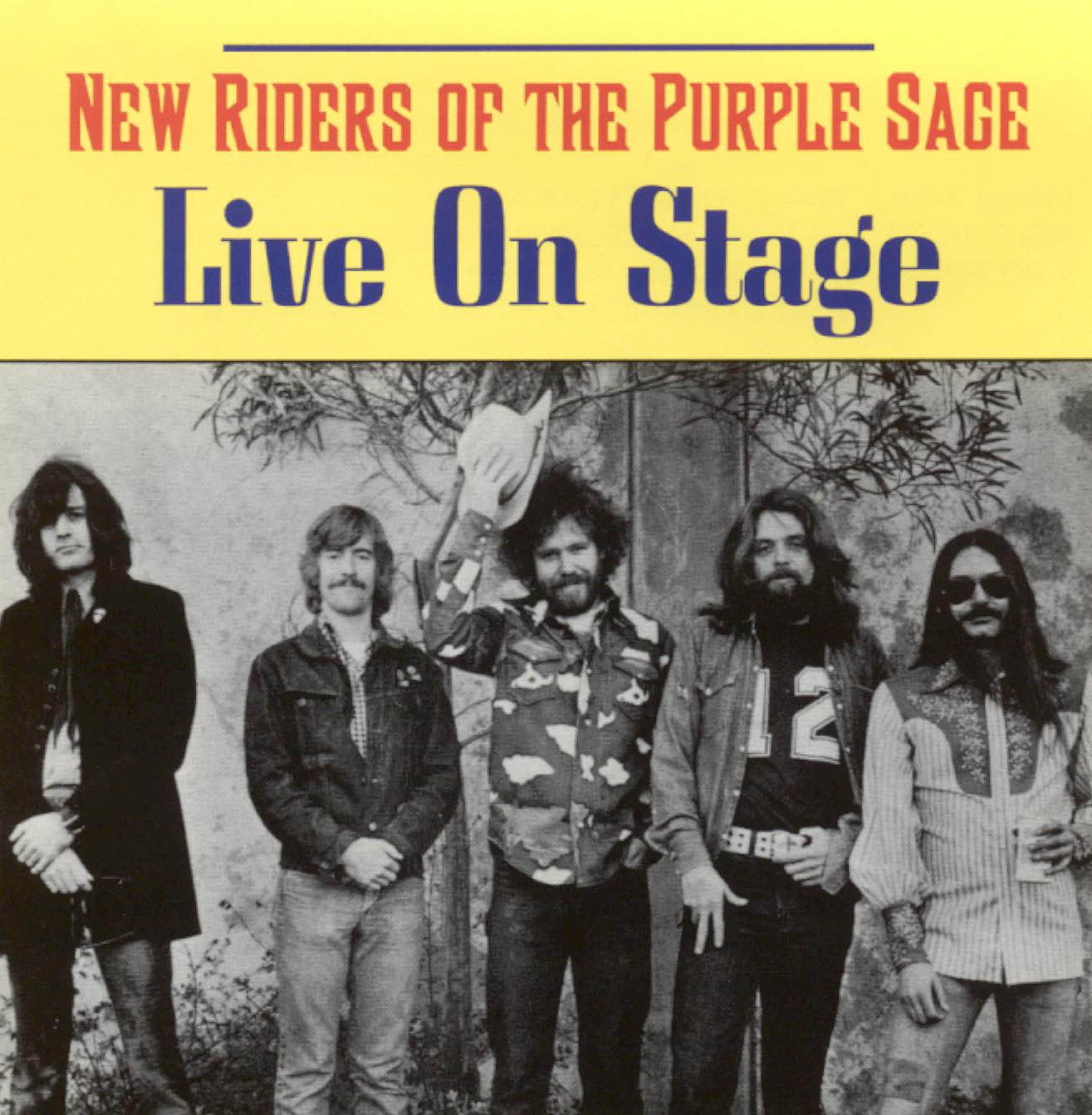 NEW RIDERS OF THE PURPLE SAGE - LIVE