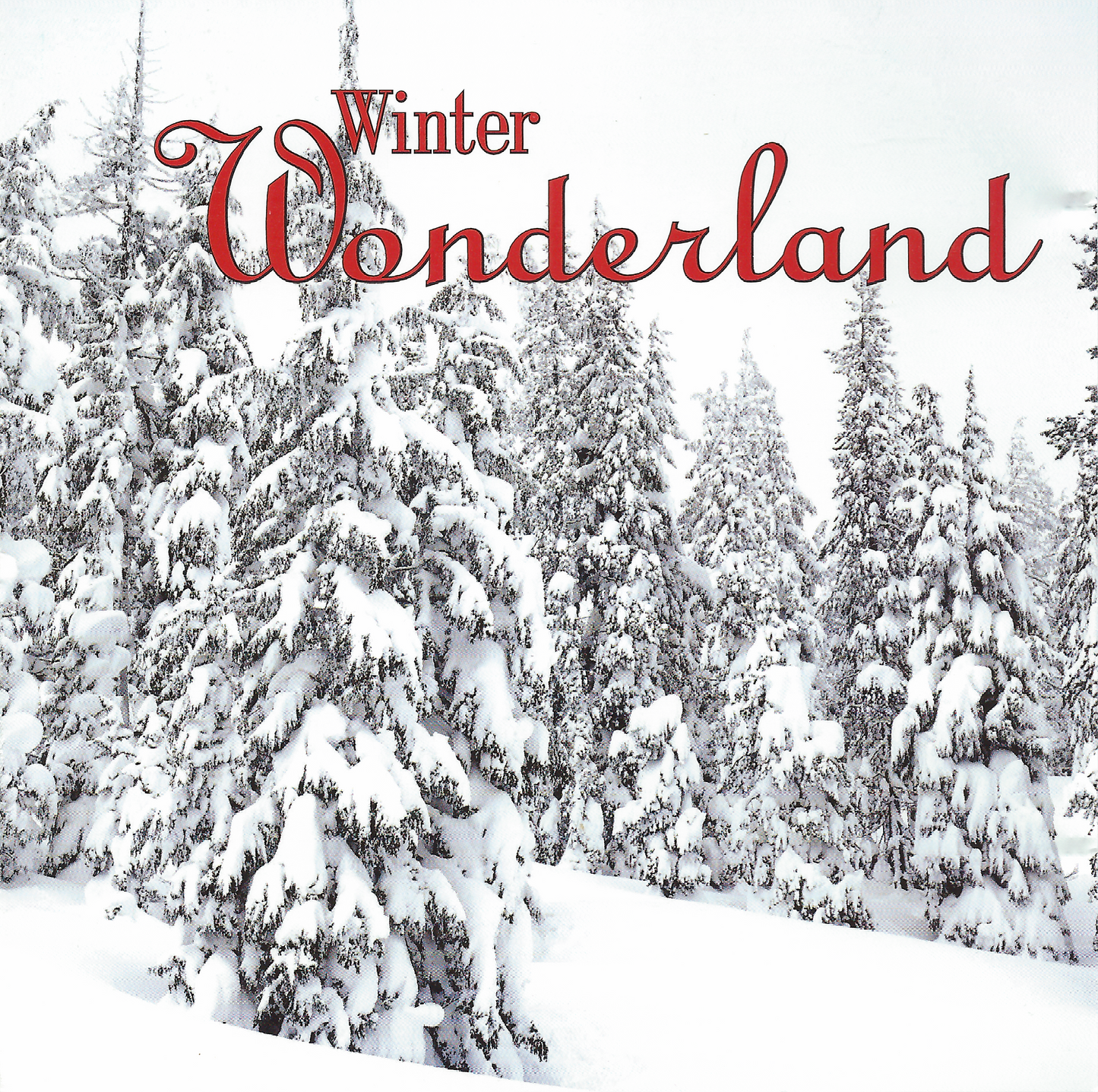 VARIOUS - WINTER WONDERLAND (2CD)
