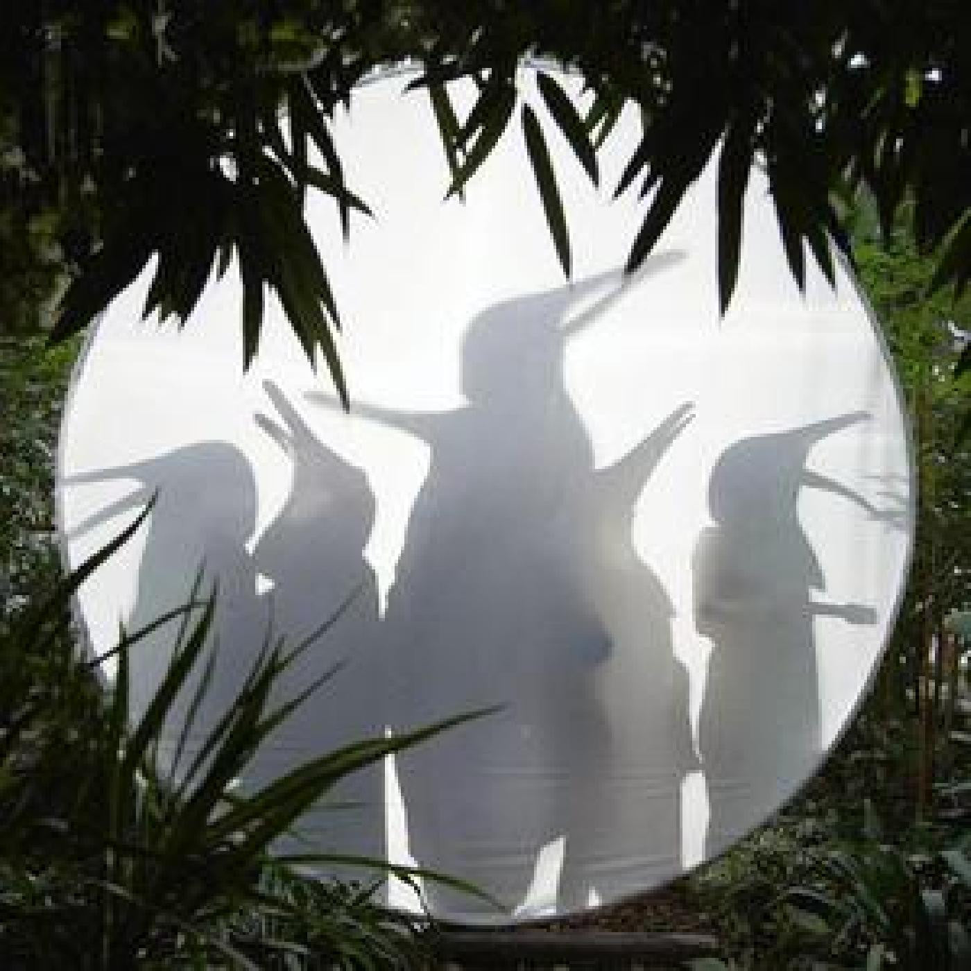 PENGUIN CAFE - RAIN BEFORE SEVEN... (PETROL GREEN VINYL)