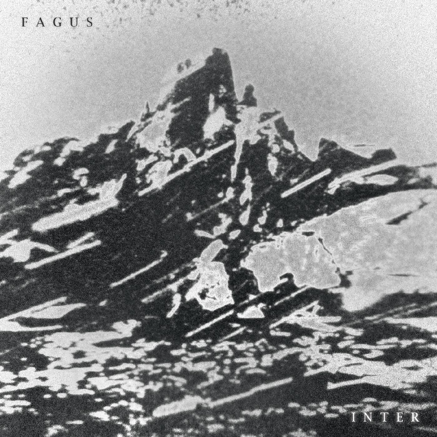 FAGUS - INTER