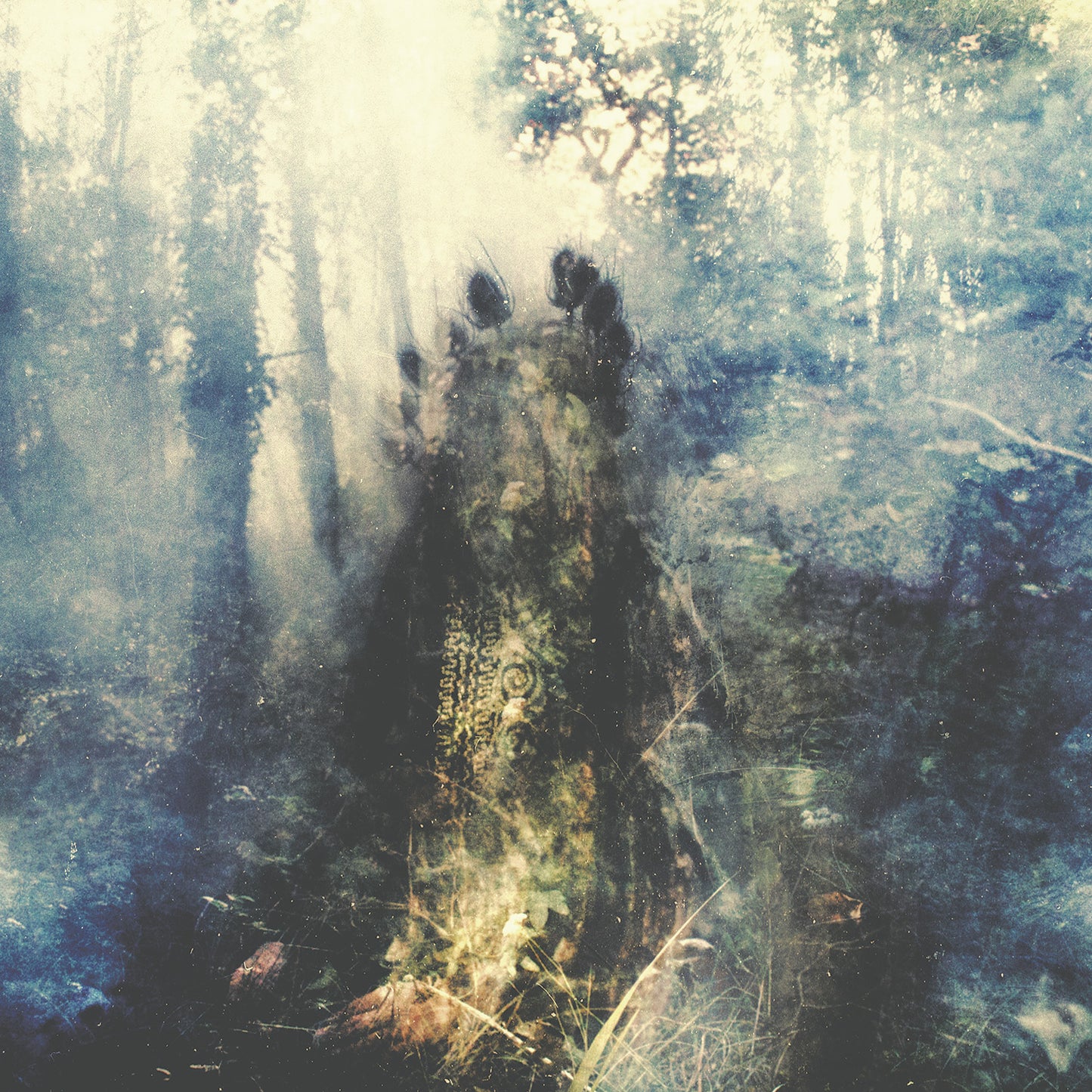 SYLVAINE - WISTFUL