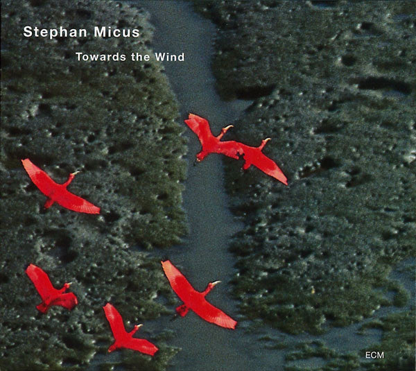 MICUS, STEPHAN - TOWARDS THE WIND