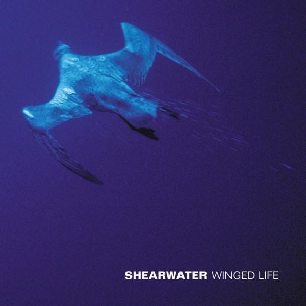 SHEARWATER - WINGED LIFE