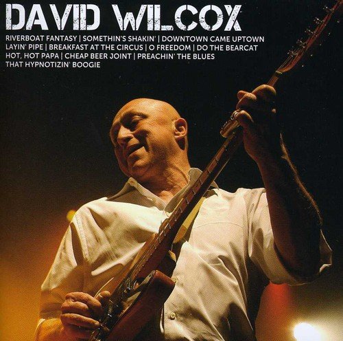 DAVID WILCOX - ICON: DAVID WILCOX (CD)