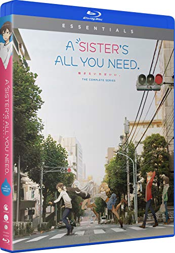 A SISTER'S ALL YOU NEED.: THE COMPLETE SERIES BLU-RAY + DIGITAL - BLU-RAY