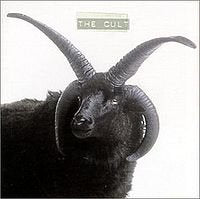 CULT - THE CULT