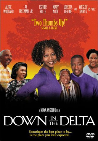 DOWN IN THE DELTA - DVD