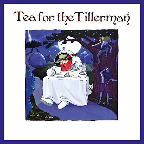 YUSUF / CAT STEVENS - TEA FOR THE TILLERMAN 2 (CD)