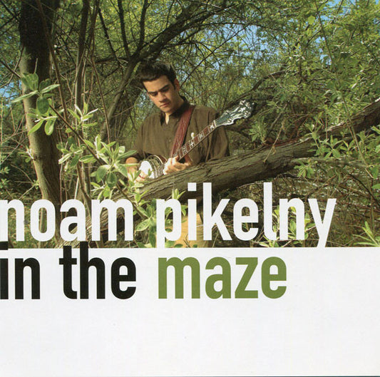 PIKELNY, NOAM  - IN THE MAZE