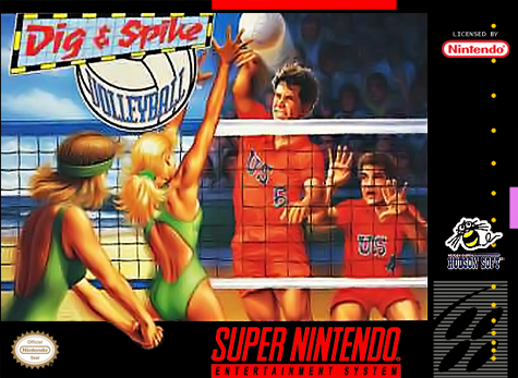 DIG & SPIKE VOLLEYBALL  - SNES (W/BOX)