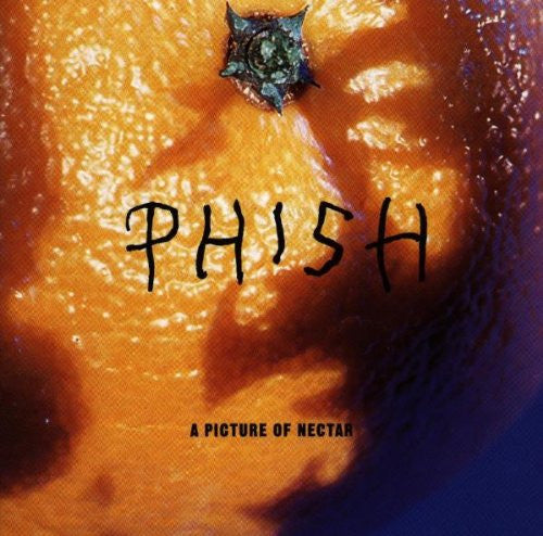 PHISH - A PICTURE OF NECTAR