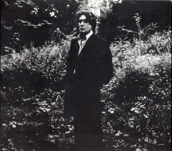BASHUNG, ALAIN  - L'IMPRUDENCE