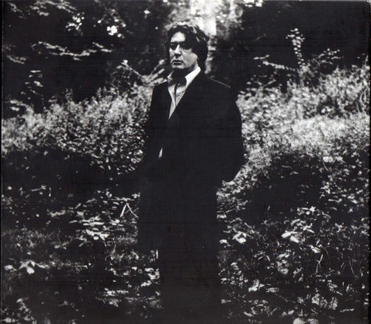 BASHUNG, ALAIN  - L'IMPRUDENCE