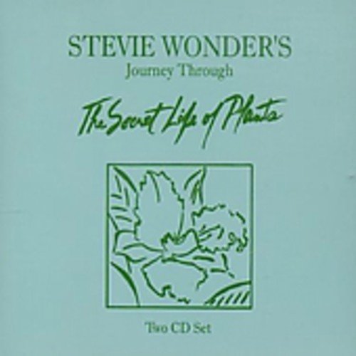 STEVIE WONDER - JOURNEY THROUGH THE SECRET