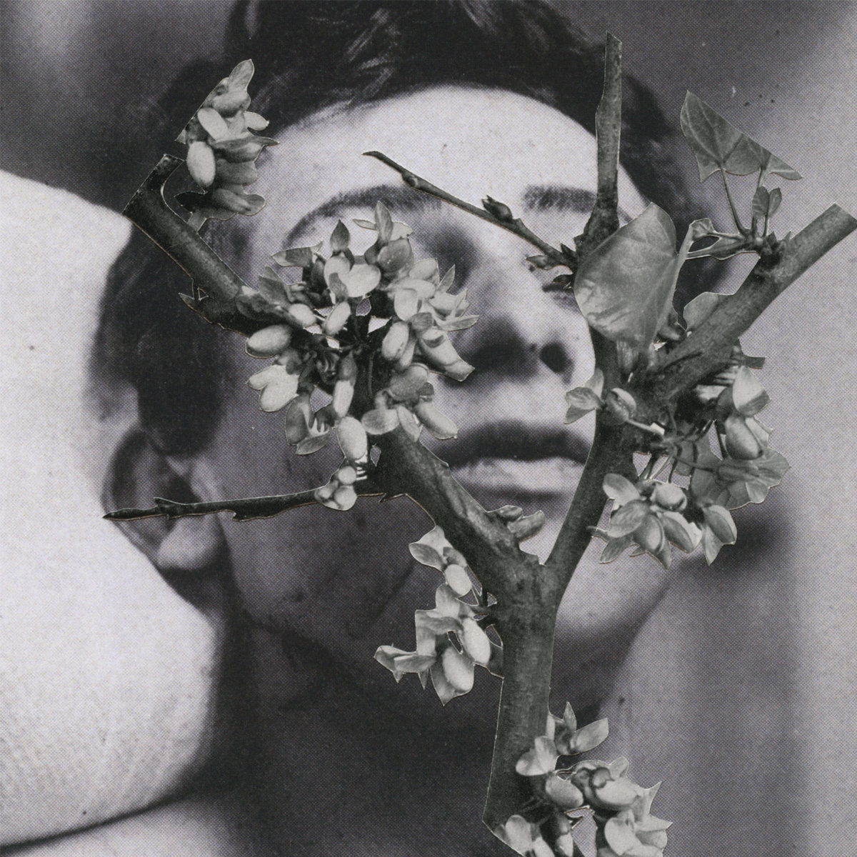 MANES  - SLOW MOTION DEATH SEQUENCE