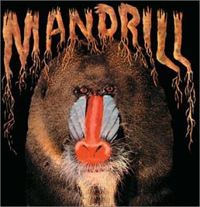 MANDRILL - MANDRILL