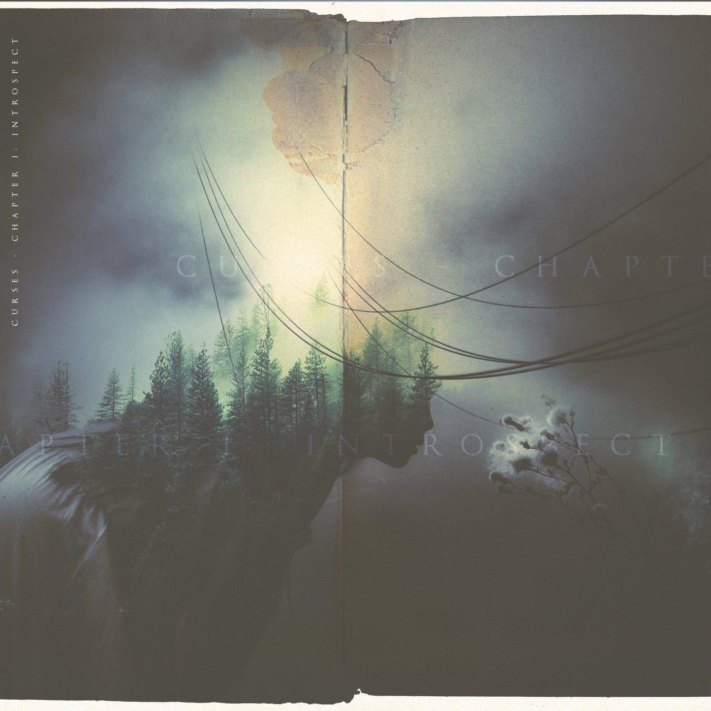 CURSES  - #&$%