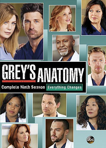 GREY'S ANATOMY: THE COMPLETE NINTH SEASON (SOUS-TITRES FRANAIS)