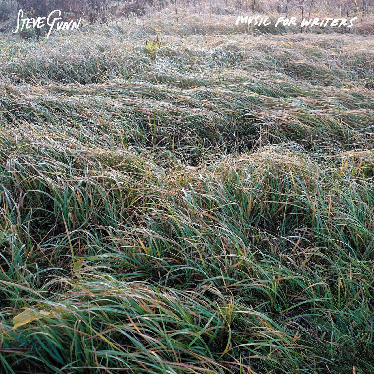 GUNN, STEVE - MUSIC FOR WRITERS (OPAQUE ORANGE VINYL)