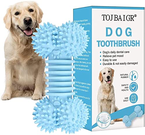 CCR  - COSMO'S FACTORY (SACD)