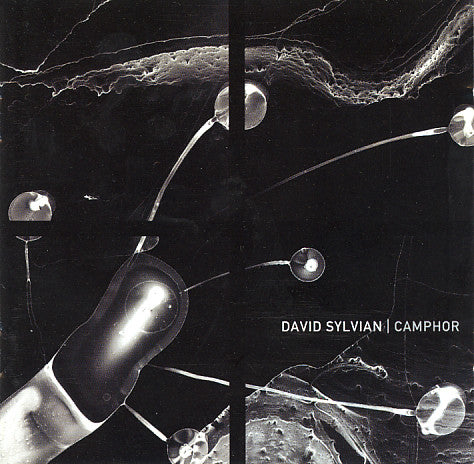 SYLVIAN, DAVID  - CAMPHOR