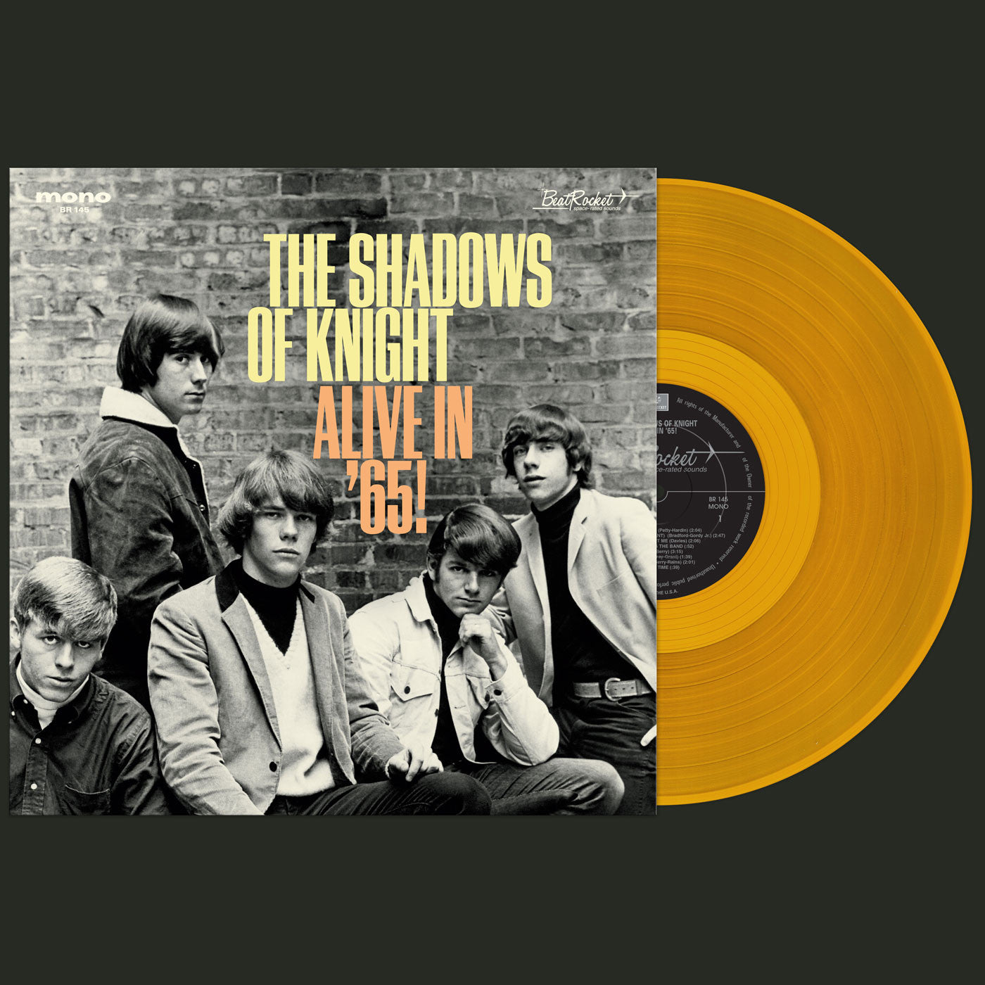 SHADOWS OF KNIGHT, THE - ALIVE IN '65!