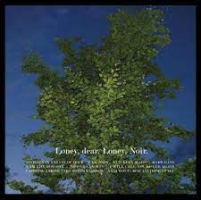 LONEY DEAR  - LONEY NOIR