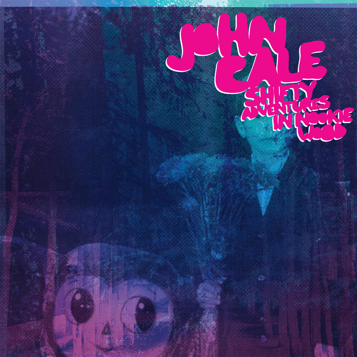 CALE, JOHN - SHIFTY ADVENTURES IN NOOKIE WOOD
