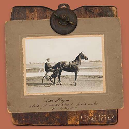LIMBLIFTER - LITTLE PAYNE (VINYL)