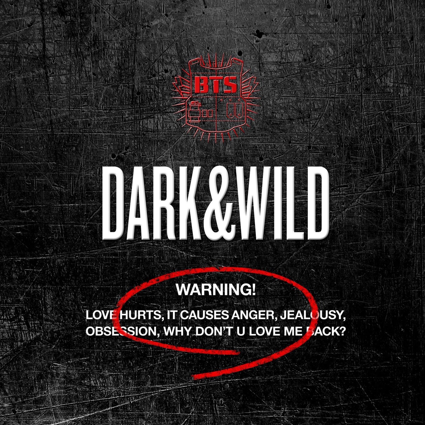 BTS  - DARK & WILD