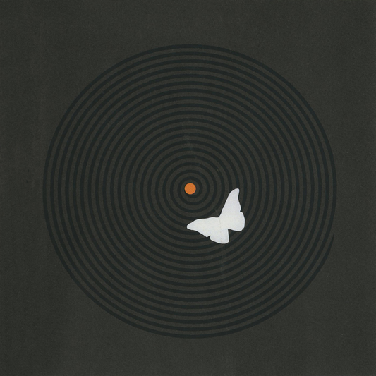 BARDO POND  - SET & SETTING
