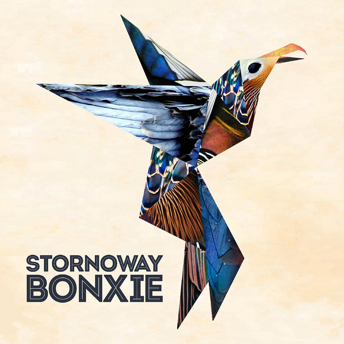 STORNOWAY - BONXIE (10TH ANNIVERSARY EDITION) (DELUXE EDITION)