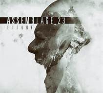 ASSEMBLAGE 23  - ENDURE (2CDS)(DLX)