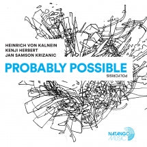 HEINRICH VON KALNEIN - PROBABLY POSSIBLE [LP]