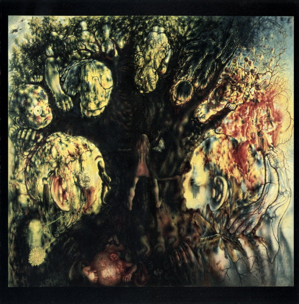 DECEASED  - 13 FRIGHTENED SOULS