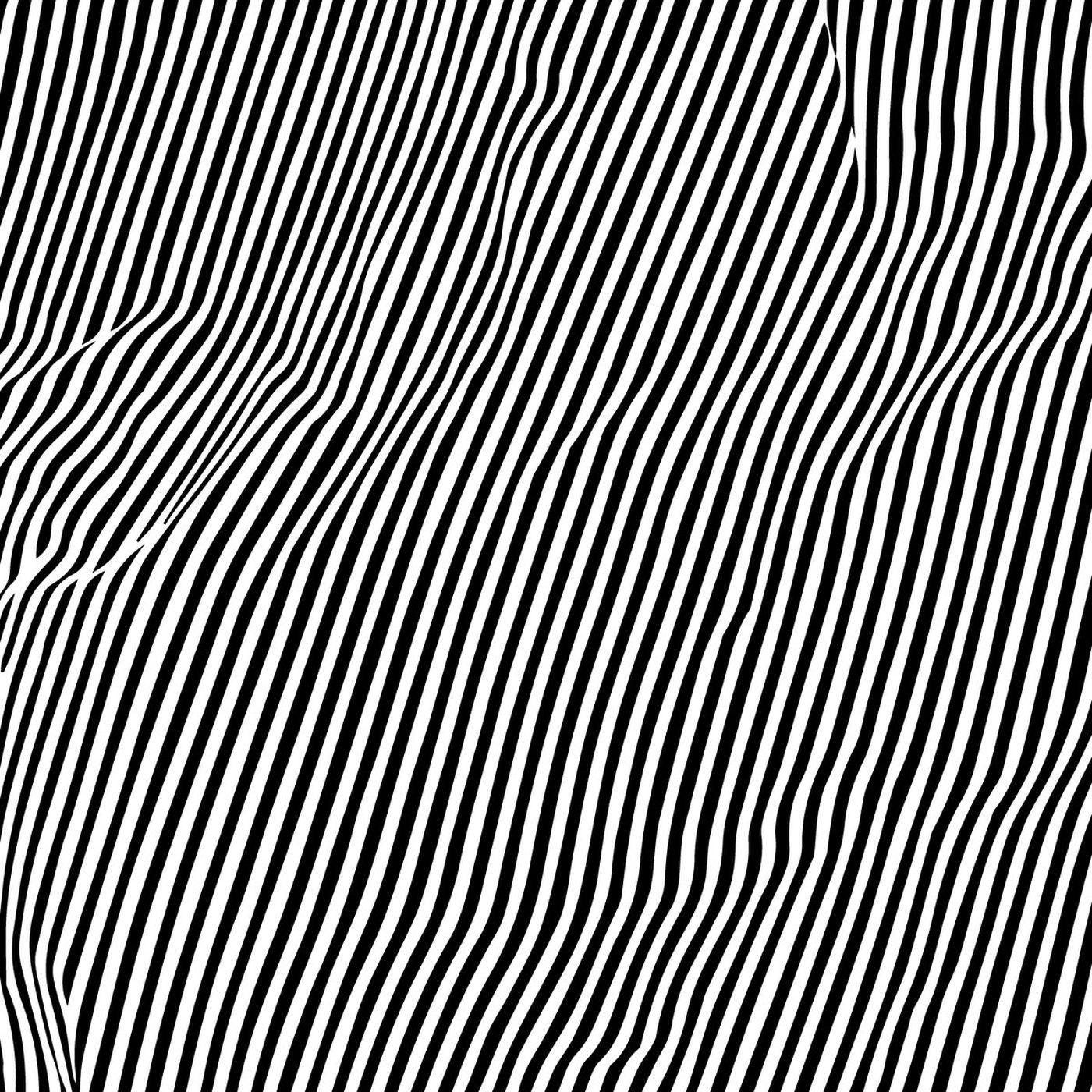 ANIMAL HOSPITAL - FATIQUE