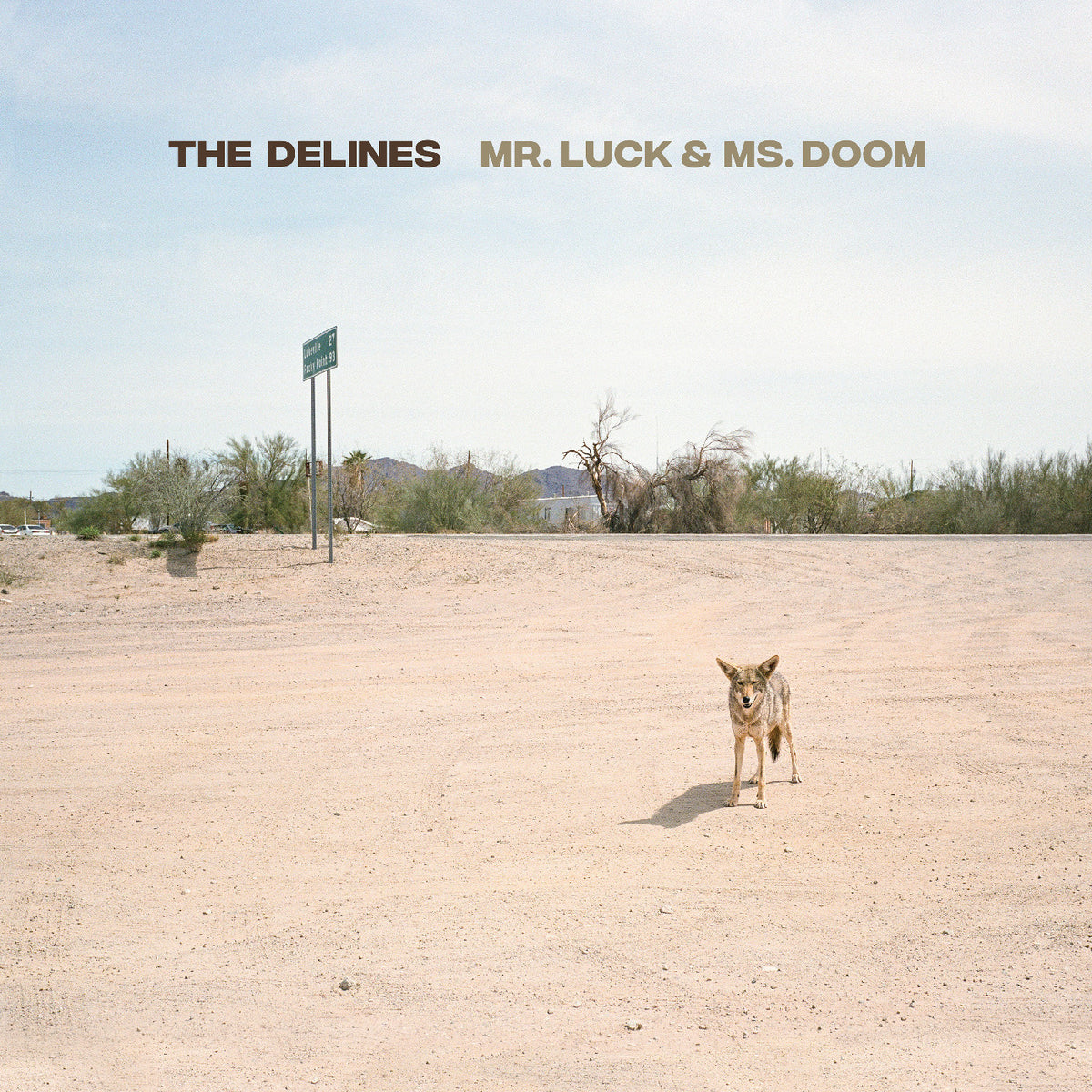 DELINES, THE - MR. LUCK & MS. DOOM (OX BLOOD VINYL)