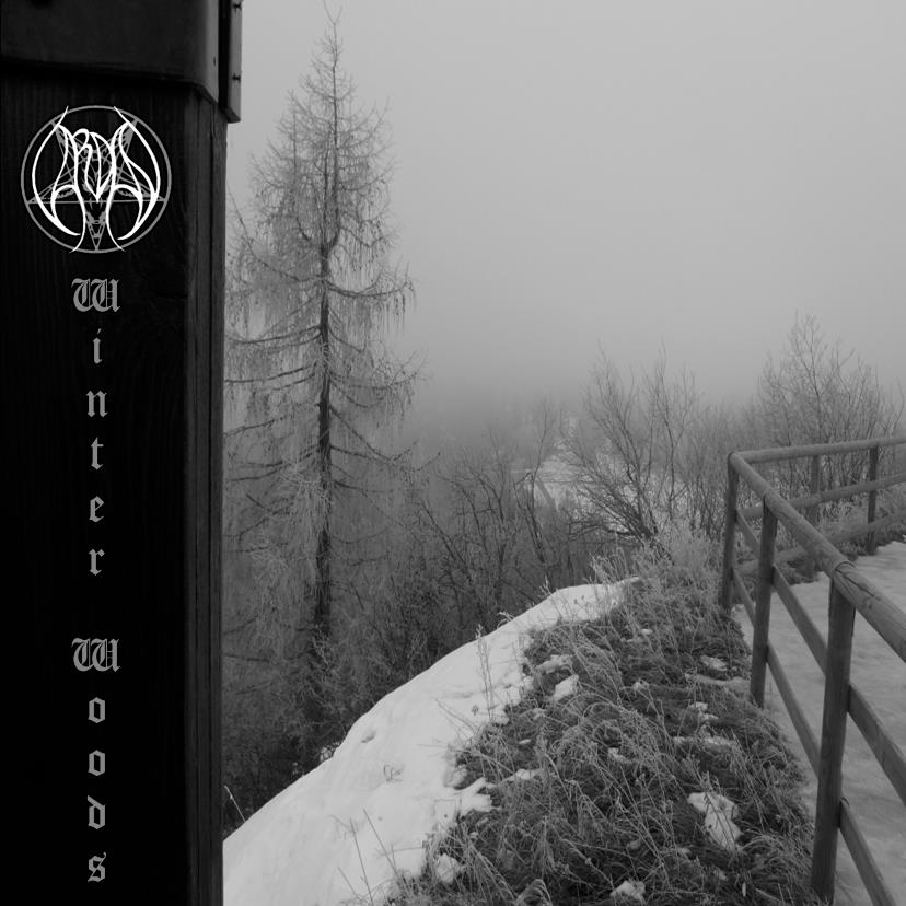 VARDAN  - WINTER WOODS