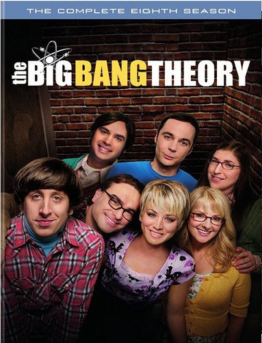 THE BIG BANG THEORY: SEASON 8