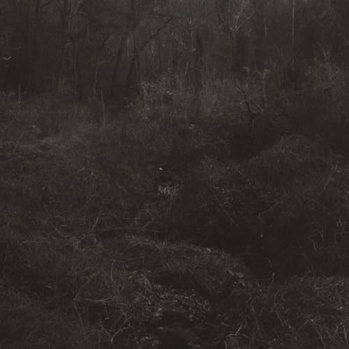LESLEY MOK - TRANSIENT (VINYL)