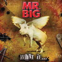 MR. BIG  - WHAT IF