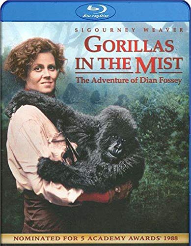 GORILLAS IN THE MIST