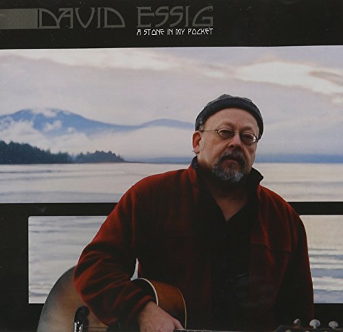 ESSIG, DAVID - A STONE IN MY POCKET