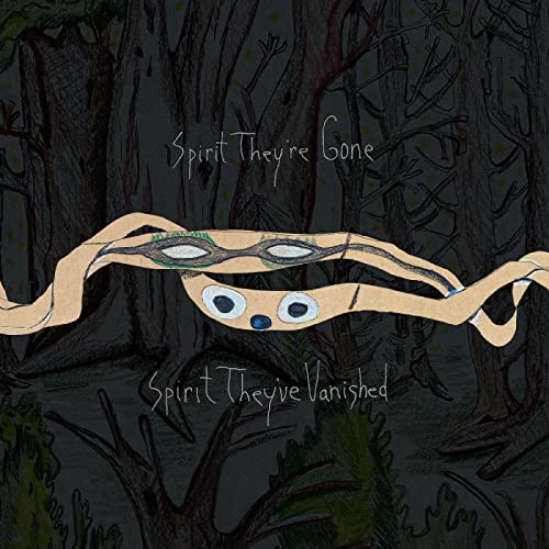 ANIMAL COLLECTIVE - SPIRIT THEY'RE GONE, SPIRIT THEY'VE VANISHED (REMASTERED 2023) (DELUXE EDITION) (CD)