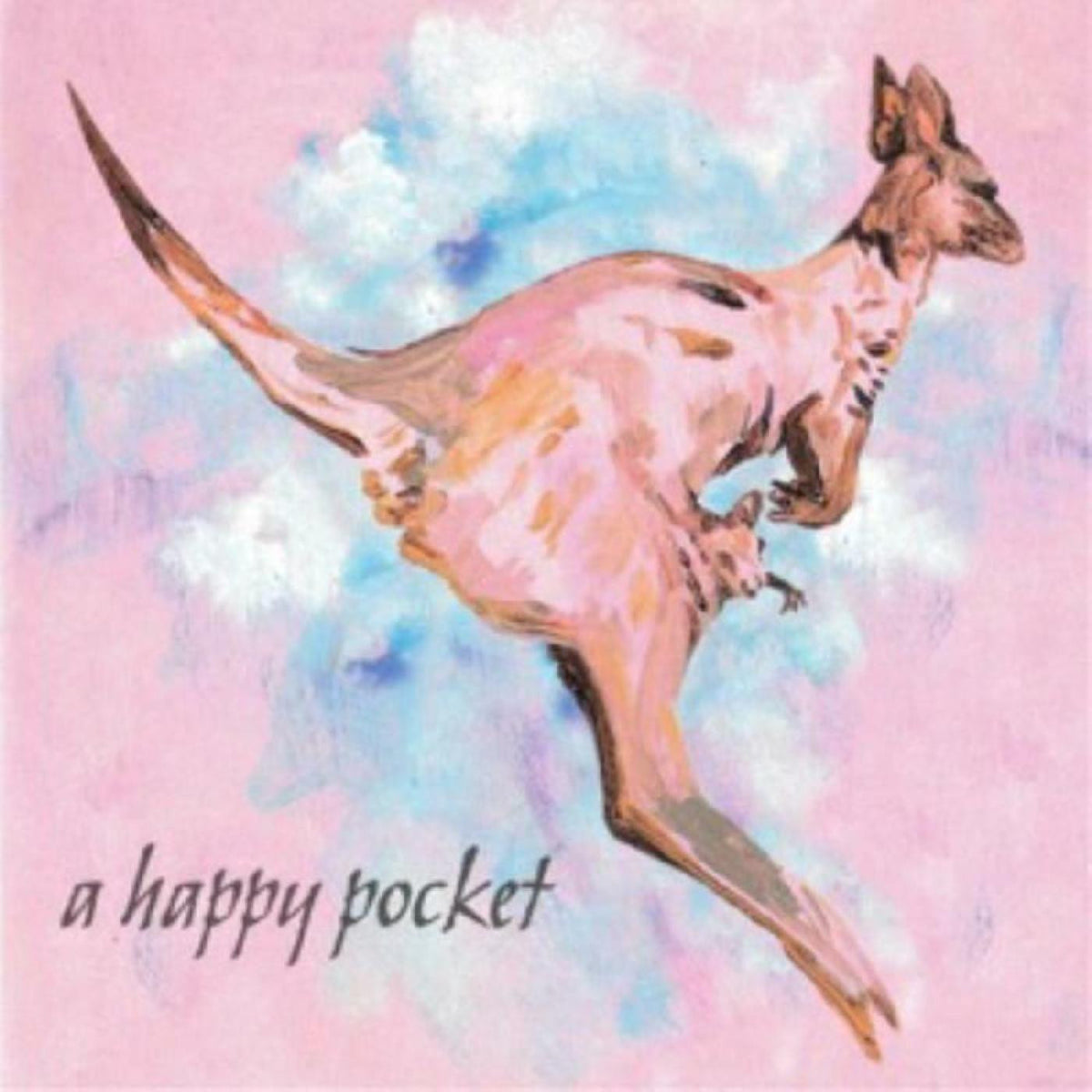 TRASHCAN SINATRAS - A HAPPY POCKET