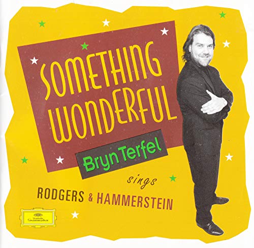 TERFEL, BRYN - SOMETHING WONDERFUL