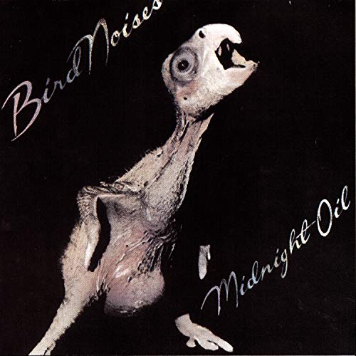 MIDNIGHT OIL - BIRD NOISES