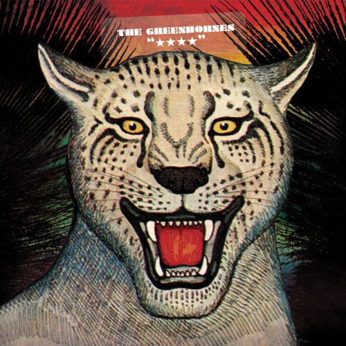 THE GREENHORNES - **** (LP)