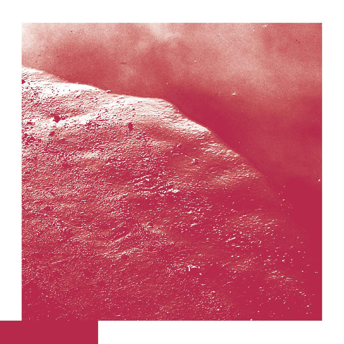 ALLRED, DAVID - THE CELL