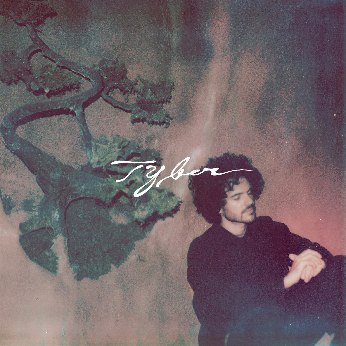 FKJ - TYBER